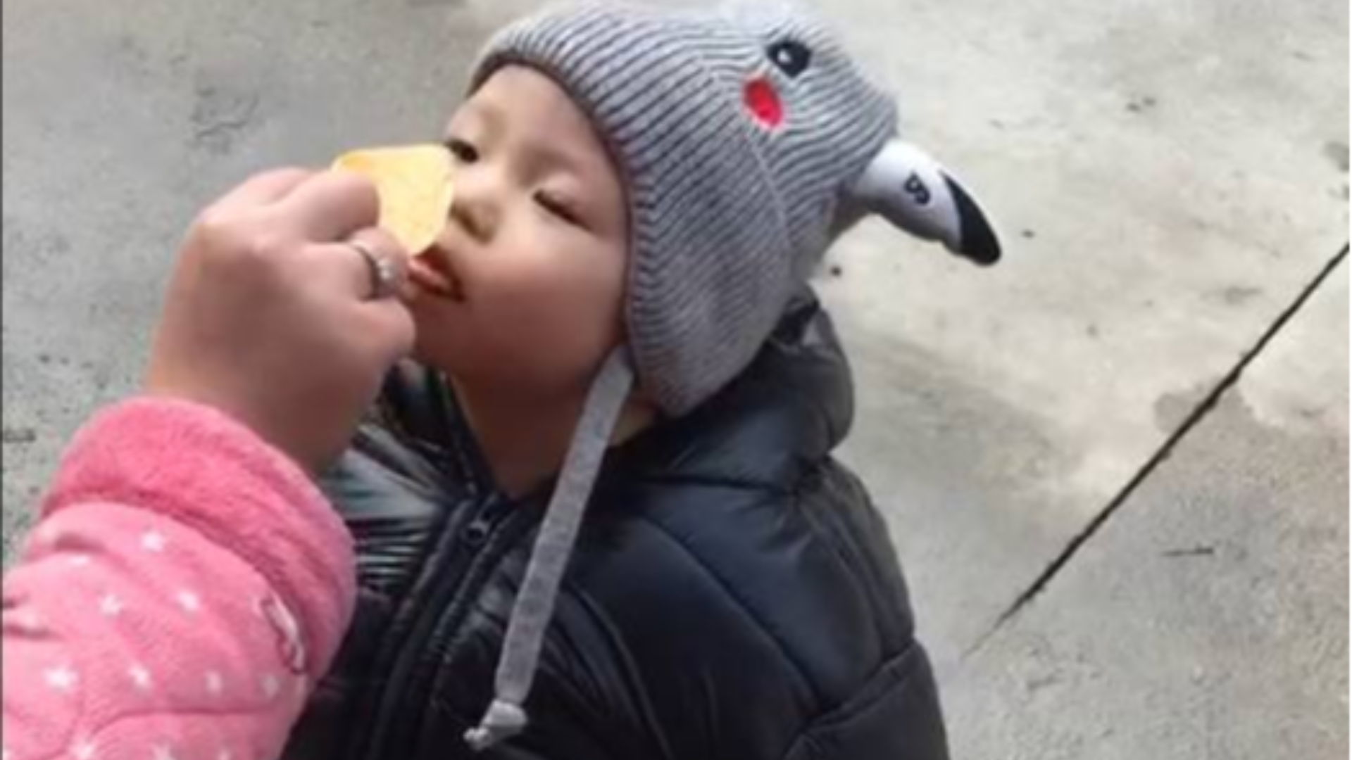 人类幼崽的迷惑行为